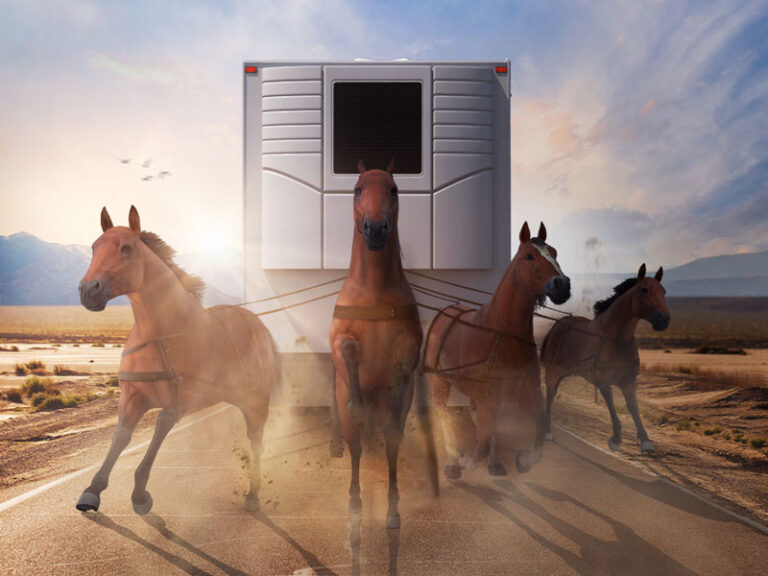 Literal Horse-Powered Hauling As a Solution To Staggering Diesel Costs