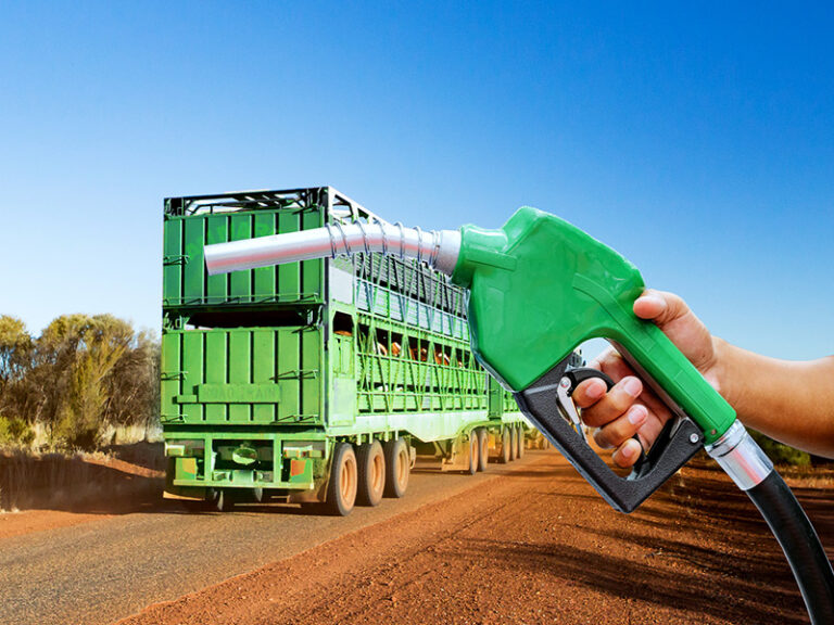 Green Livestock Truck Plugs Fuel Line Into the Rear of Hogs for Bio-fuel on the Move