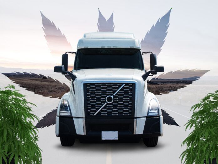 Truckers' High Times -ATRI's Marijuana Legalization Survey Reveals In-cab Growers