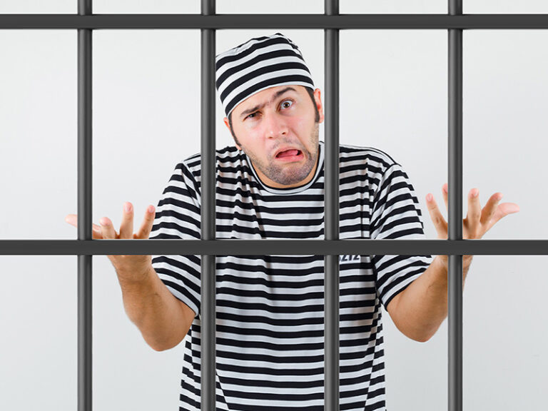 Trucker Jailed for FMCSA Lies: Claims He Thought FMCSA Stood for “Freight Management Consulting and Suggestions Agency”